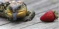 Foto: Rob Griffith AP