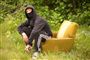  Foto: www.colourbox.com