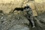  Foto: AP Photo/Rafiq Maqbool