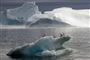 Grønlands natur er mere idyllisk end landets politiske situation
 Foto: AP/Michael Kappeler, pool, file / POLFOTO