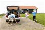 Man behøver ikke pakke bilen og drøne til Sydfrankrig for at få en god ferie. En lokal campingtur er ligeså god, mener eksperter.
 Foto: www.colourbox.com