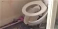 Derfor skal du aldrig smide kanonslag i et WC