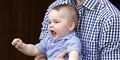 Foto: David Gray/AP