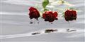 Foto: FERDINAND OSTROP/AP