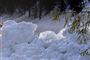 Foto: AP: KERSTIN JOENSSON