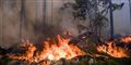 Foto: Ralf Bergman/AP