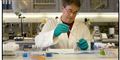 Foto: Novo Nordisk/free