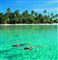 Se: Derfor er Cook Islands så fantastisk et sted