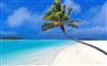Se: Derfor er Cook Islands så fantastisk et sted