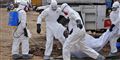 Foto: Abbas Dulleh/AP