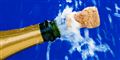 Champagne og jakkesæt: Nyt SAS-fly er KUN for business class