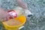 Foto: Youtube.com