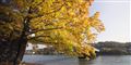 Foto: Colourbox/free