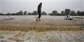 Foto: Mukhtar Khan/AP