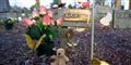 Foto: Colourbox/free