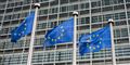 Videnskab: Danskere er mere europæiske end tyskere