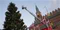 Sådan klarer juletræet sig igennem umulige forhold
