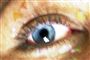 Foto: Colourbox