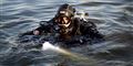 Ups: Forsvaret glemte bombeattrap i havn