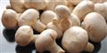 Derfor skal du passe på med at spise champignon
