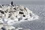 Foto: JENS KOEHLER/DPA/AFP