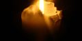 Foto: Colourbox/free