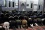 Foto: www.colourbox.com