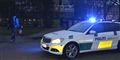 Politiet undersøger park efter skudattentater