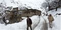 Foto: Massoud Hossaini/AP