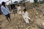 Foto: DESHAKALYAN CHOWDHURY  / Scanpix