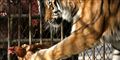 Foto: CHINA PHOTO / Scanpix