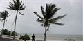 Foto: Scanpix, Reuters, 	STRINGER/MEXICO