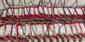 Foto: Erwin Wodicka/ERWIN WODICKA - WODICKA@AON.AT