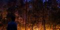 Foto: Scanpix/AFP/Andrey Smirnov
