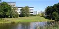 Foto: Mogens Engelund / Wikimedia/free