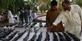 Foto: Rahmat Gul/AP