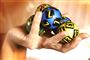 Beckmann vil til udlandet