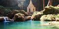 Foto: Colourbox/free