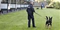 Foto: Esben Salling  / Scanpix