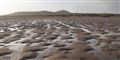 Foto: Colourbox/AP/free