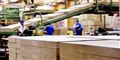Foto: Rockwool/free