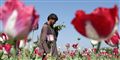 Foto: Rahmat Gul/AP