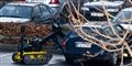 Foto: Claus Fisker  / Scanpix