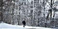 Foto: Henning Bagger / Scanpix