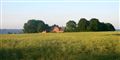 Foto: Colourbox/free