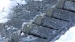/ritzau/