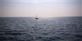 Foto: Colourbox/Free