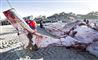 Blodige billeder: Kæmpehval skåret op på jysk strand