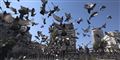 Foto: Hassan Ammar/AP