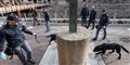 Foto: Alessandro Di Meo/AP